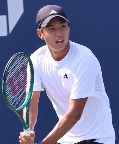 Տիեն Լերներ