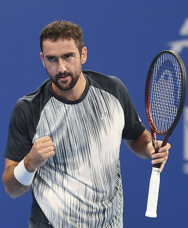 Մարին Չիլիչ